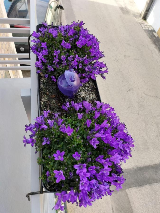 The Violet House Villa Costa Nova Eksteriør bilde